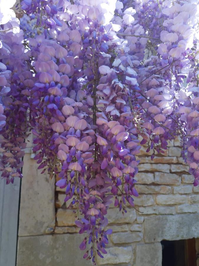 Wisteria Cottage Les Adjots ภายนอก รูปภาพ